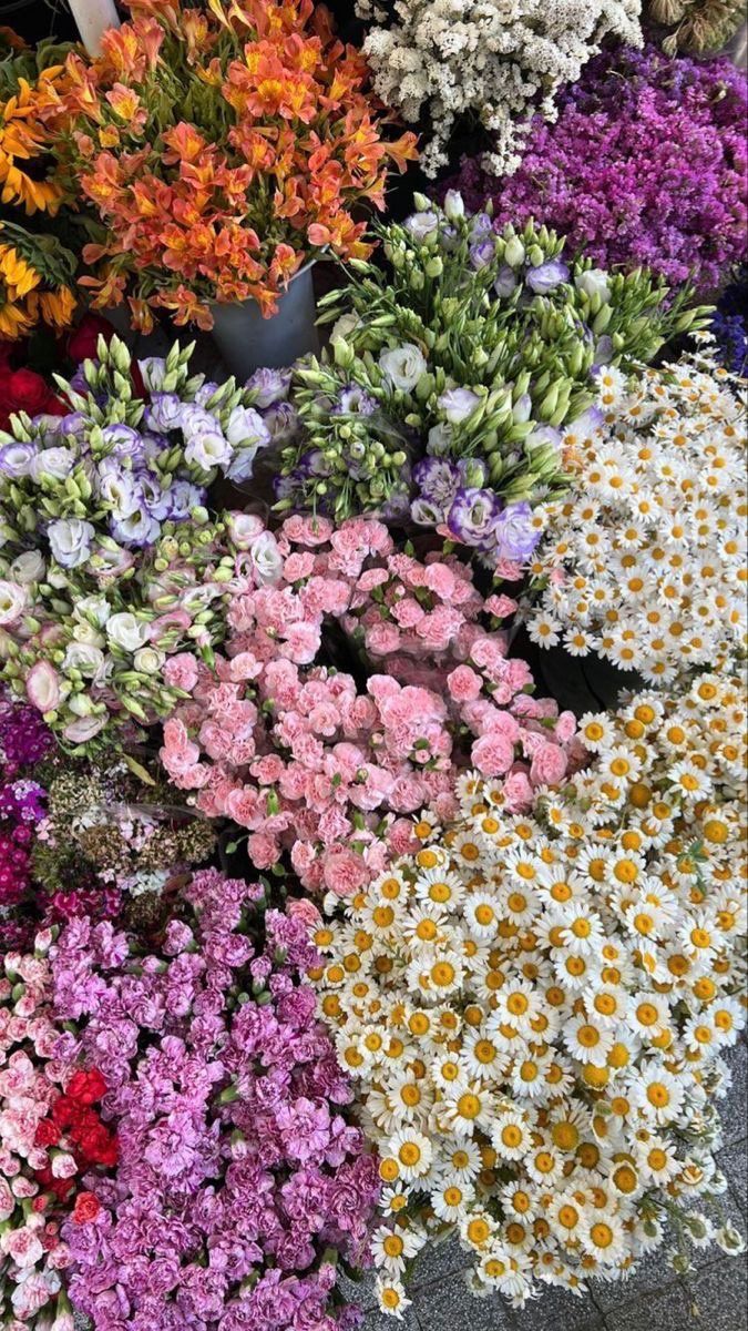 Where to Buy Fresh Flowers in Lahore