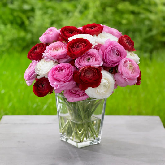 Surprise your loved one with fresh flowers
