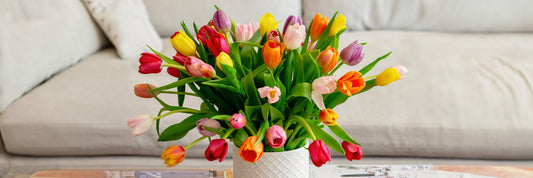 The Language of Colors: Selecting Flowers Based on Emotions