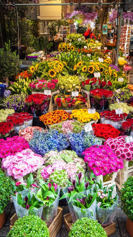 Same-Day Flower Delivery in Lahore