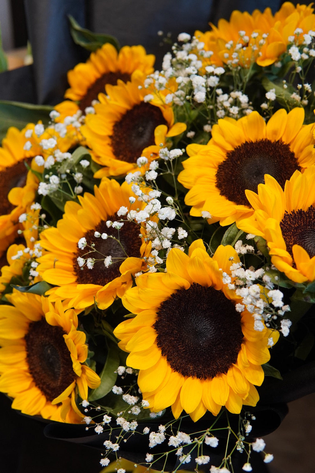 Stunning bouquet of 11 sunflowers with baby’s breath wrapped in black paper and yellow ribbon – ideal for birthdays and flower delivery in Pakistan