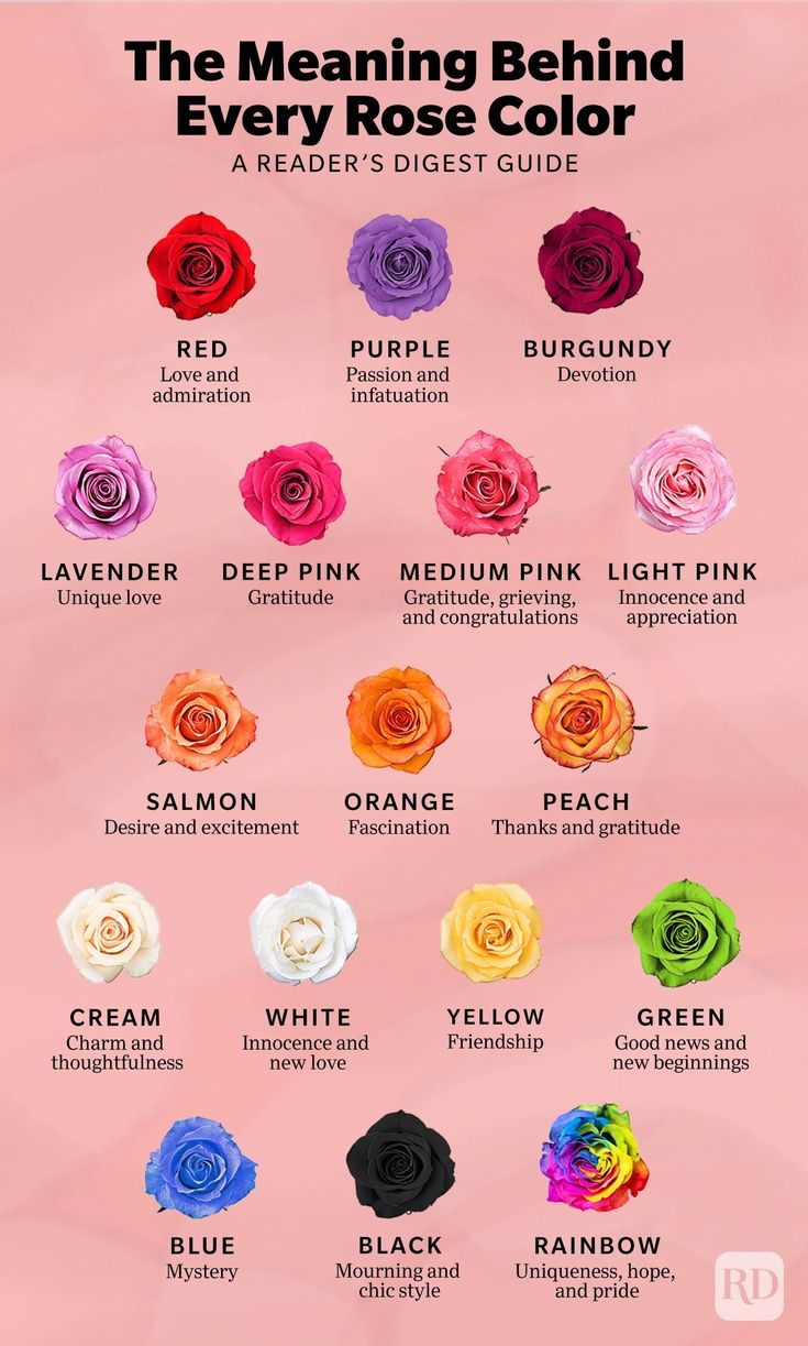 The Meaning of Flowers: A Complete Guide from Flower Bouquet