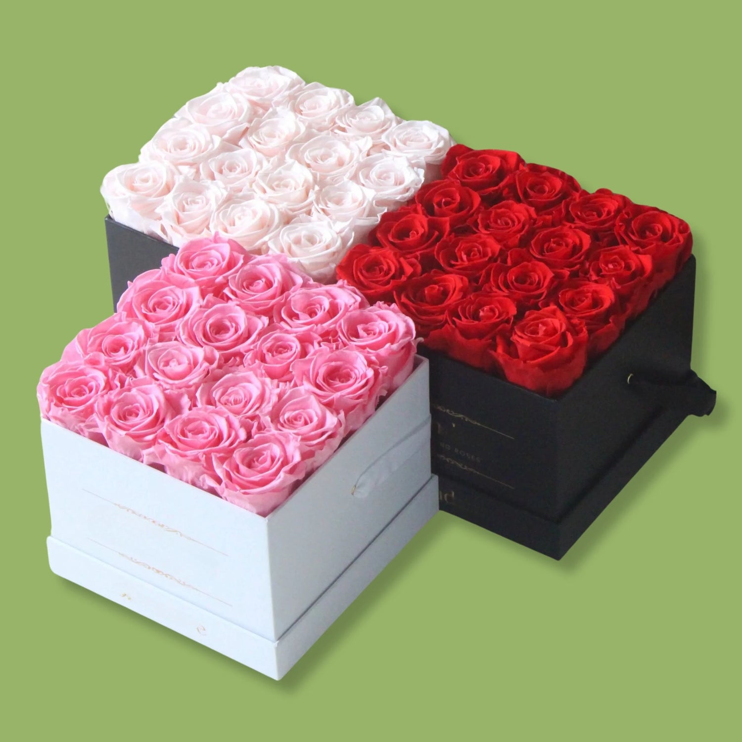 flower boxes decor with red white and pink roses