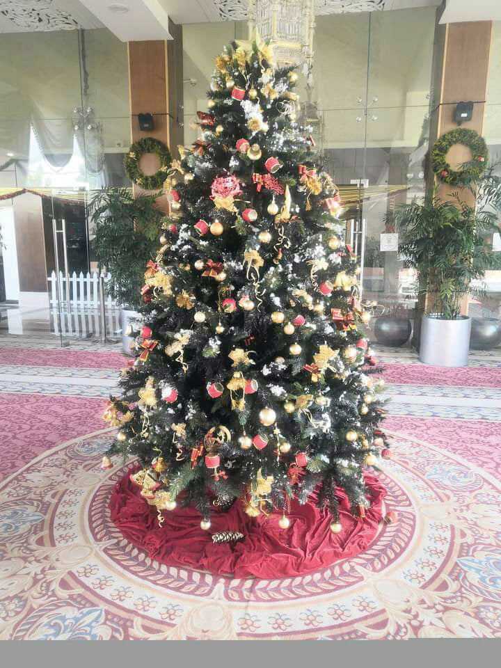 Christmas trees Decorations In Lahore