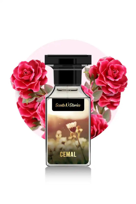 sentsnstories women best perfumes